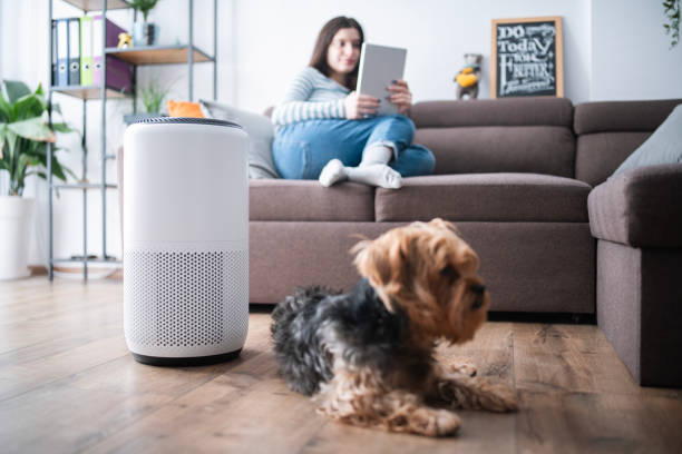 Apakah Air Purifier Harus Menyala 24 Jam?