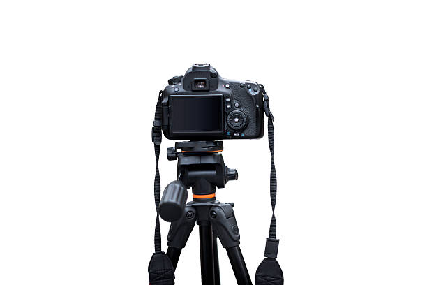 7 Tips Pilih Tripod Kamera Terbaik untuk Konten Kreator dan Vlogger