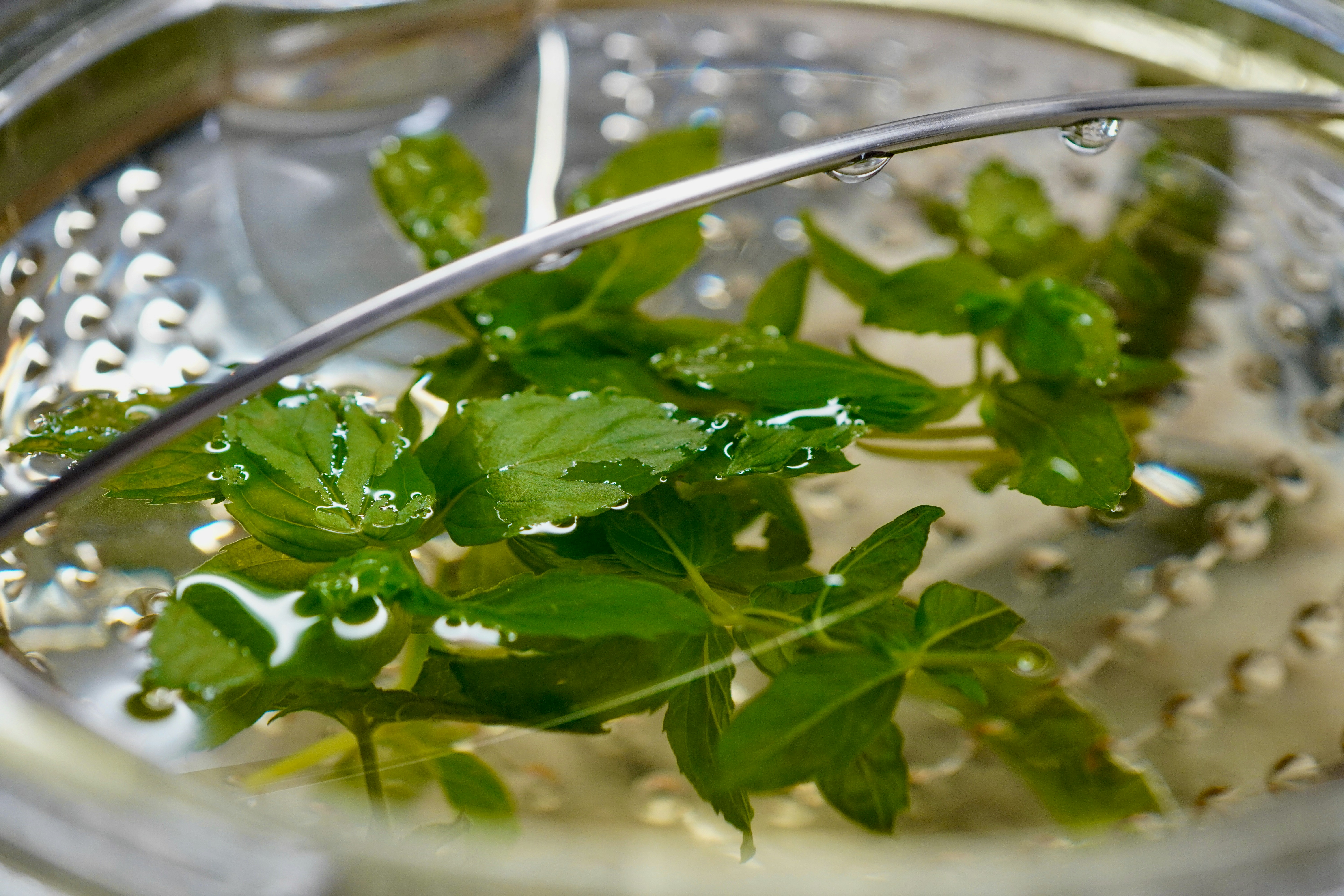 Spearmint atau Peppermint? Temukan Khasiat Teh Herbal Favoritmu