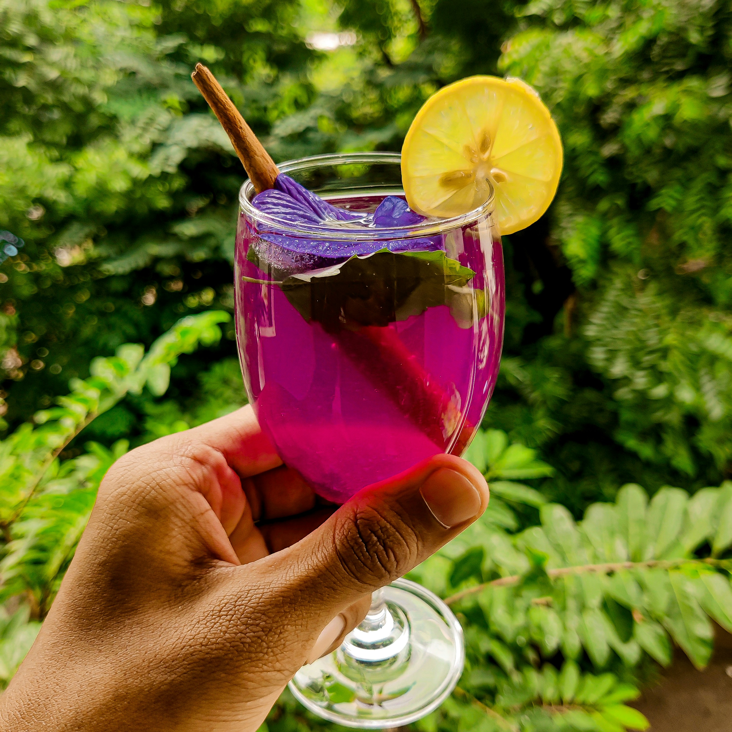 Teh Bunga Telang, Teh Herbal Instagramable dengan Segudang Manfaat