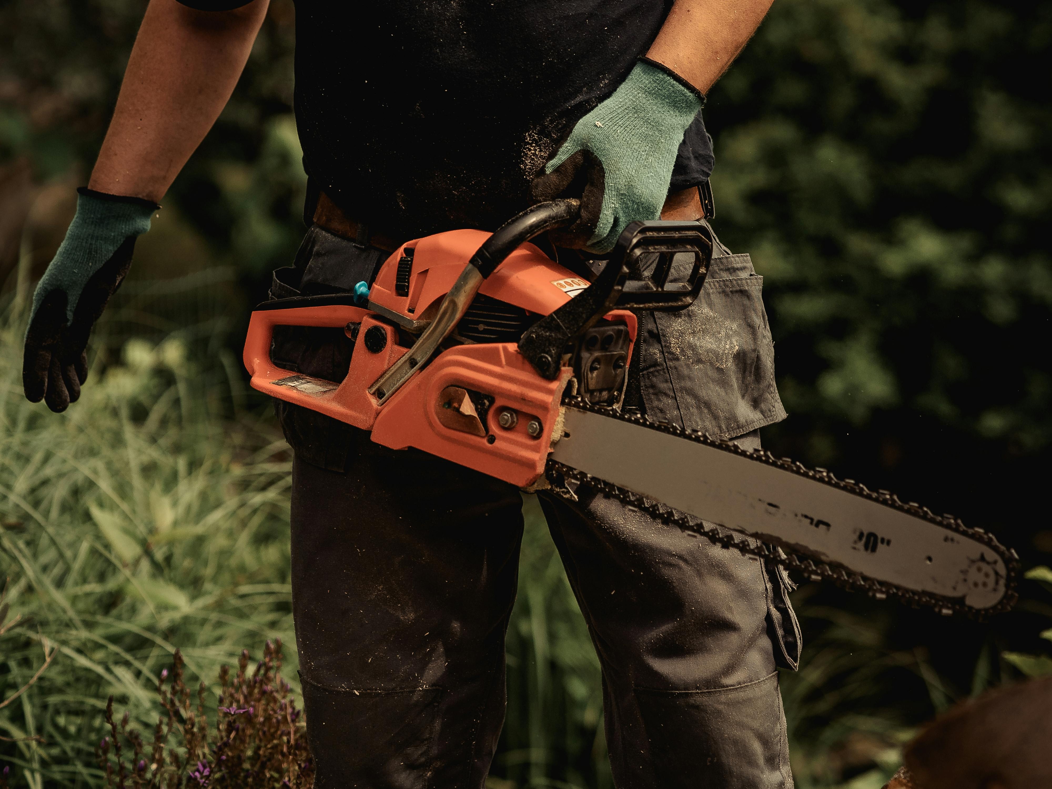 Simak! Panduan Lengkap Chainsaw, Dari Hobi Hingga Profesional