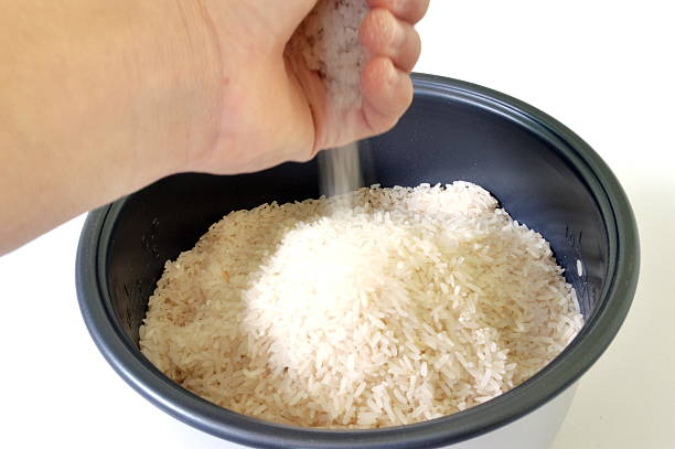 Ini Rahasia Membuat Nasi Pulen dan Matang Sempurna Pakai Rice Cooker