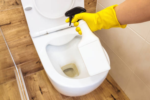 Yakin Toilet Sudah Bebas Kuman? Ini Ciri Toilet Masih Kotor Tanpa Kamu Sadari