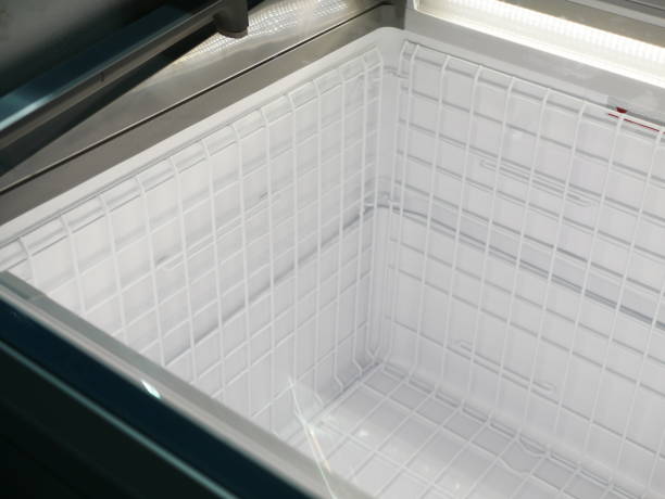 Bahan Makanan Busuk di Freezer? Begini Cara Atasinya