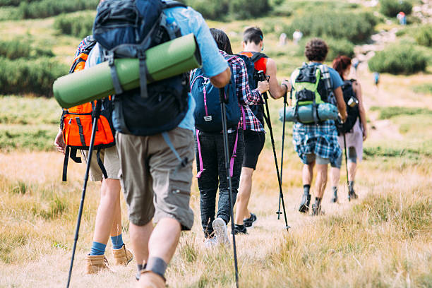 Kenapa Perlu Trekking Pole saat Ngalam di Medan Berat?