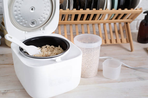 Anak Kos Wajib Tahu! Ini Cara Menggunakan Rice Cooker Mini dengan Aman