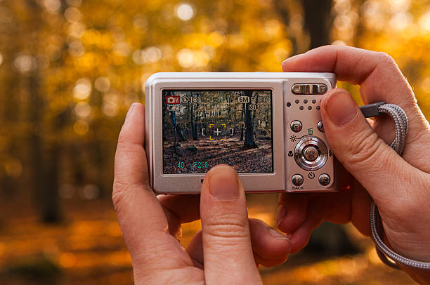 Suka Jepret Foto Spontan tapi Butuh Kualitas yang Bagus? Kamera Digital Pocket Solusinya!