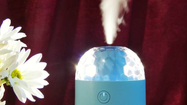 Humidifier dengan Lampu, Estetis dan Fungsional Sekaligus!