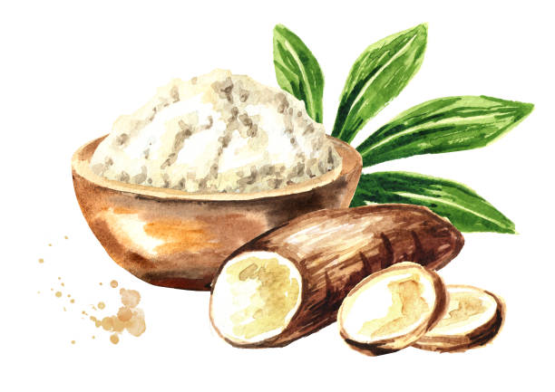 Lagi Menghindari Gluten? Tepung Mocaf Jelas Cocok Untukmu