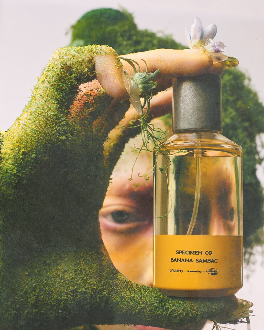 Sensasi Tropical Banana Sambac dari Scent of Pluto! Bocoran Aroma Awal Hingga Dry Down yang Unik