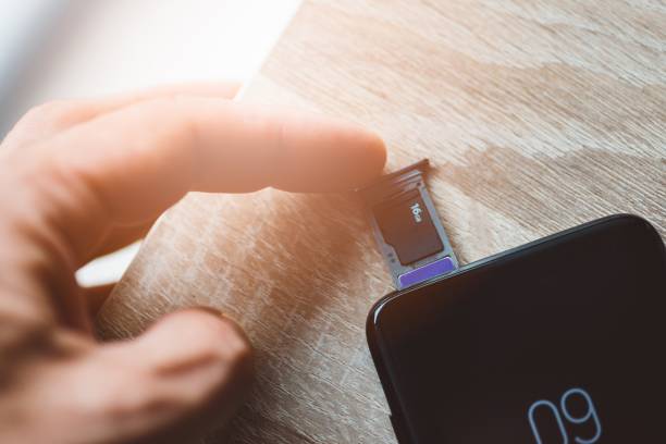 Masihkah Butuh SD Card di 2025? Ini Penjelasan yang Paling Masuk Akal