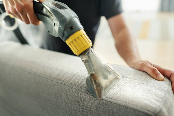 Jangan Salah! Begini Cara Merawat Vacuum Cleaner Portable yang Benar