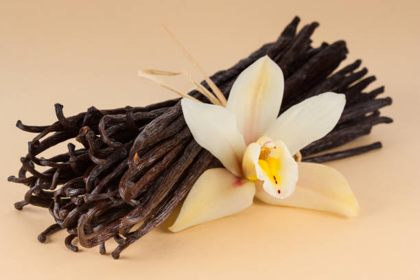 Kenapa Parfum Aroma Vanilla Populer dan Disukai Banyak Orang?