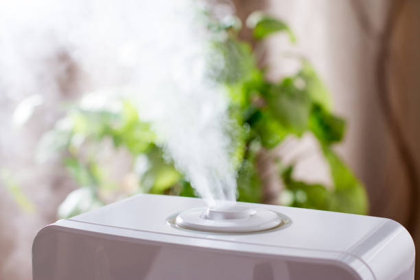 Rumah Bau Apek atau Pengap? Air Purifier dengan Aromatherapy Solusinya!