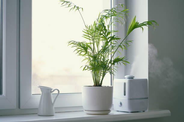Cara Menempatkan Diffuser yang Benar Supaya Aromanya Tersebar Maksimal