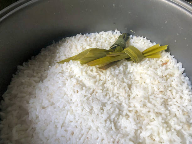 Cara Membuat Nasi Liwet Pulen dan Lezat di Rice Cooker, Anti Gagal!