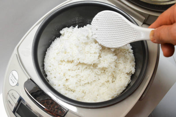 Ini Pilihan Rice Cooker yang Awet dan Hemat Energi
