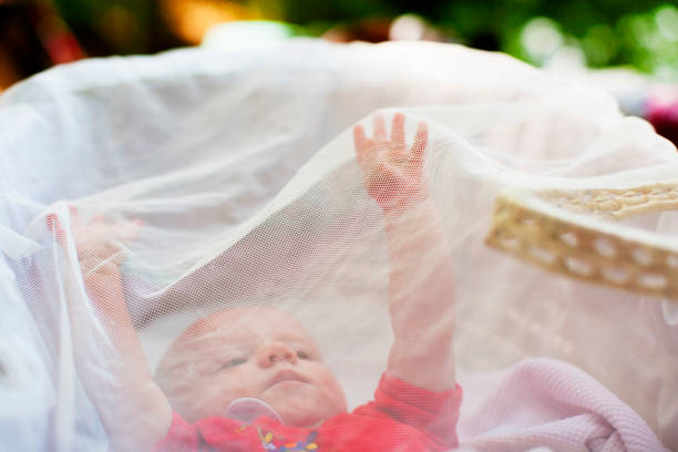 Mau Bayi Terhindar dari Gigitan Nyamuk? Lakukan 6 Hal Ini