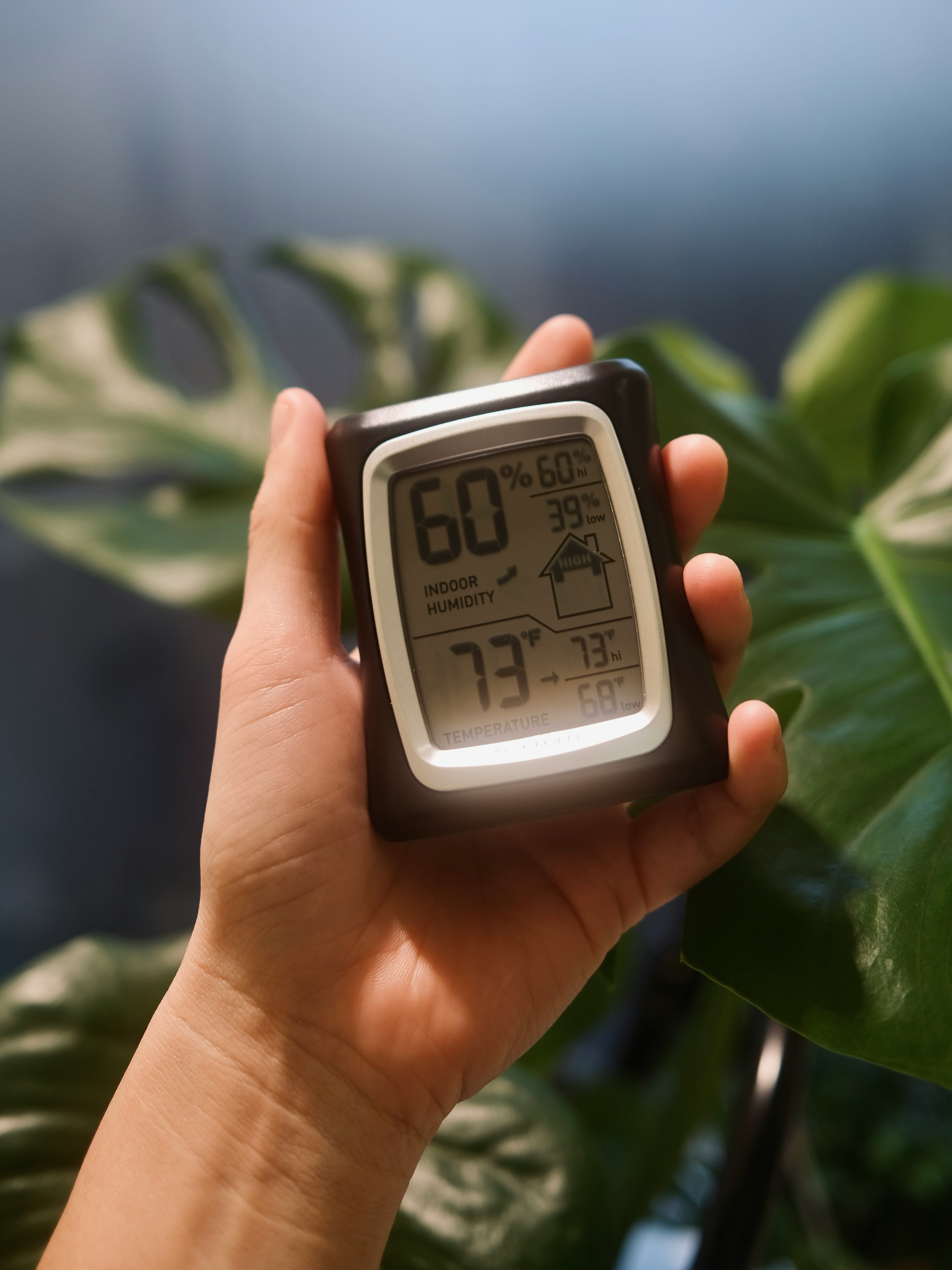 Jangan Biarkan Kelembaban Merusak Koleksimu! Ini Rahasia Jaga Aset Berharga dengan Hygrometer