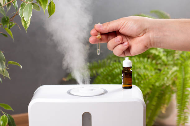 Minyak yang Cocok untuk Diffuser dan Tips Memilihnya