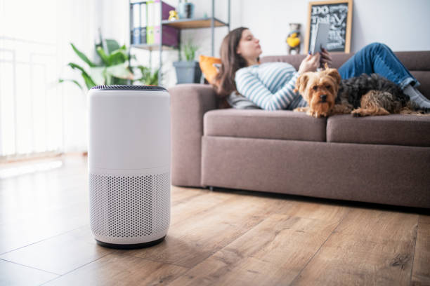 Manfaat Air Purifier untuk Hewan Peliharaan agar Rumah Tetap Bersih dan Sehat