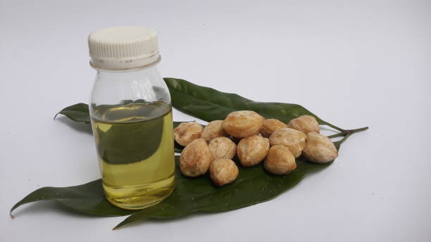 7 Alasan Kenapa Minyak Kemiri Cocok untuk Perawatan Rambutmu