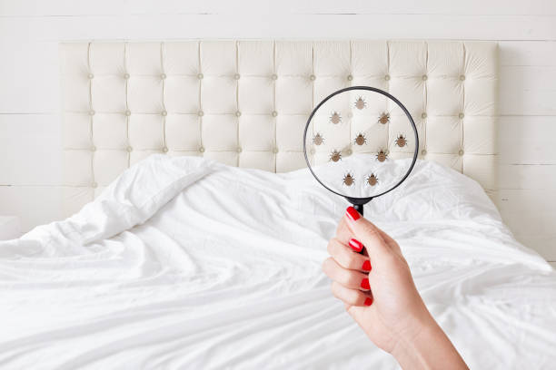 Tidur Cukup tapi Tetap Lemas? Bisa Jadi Karena Kasurmu Kotor