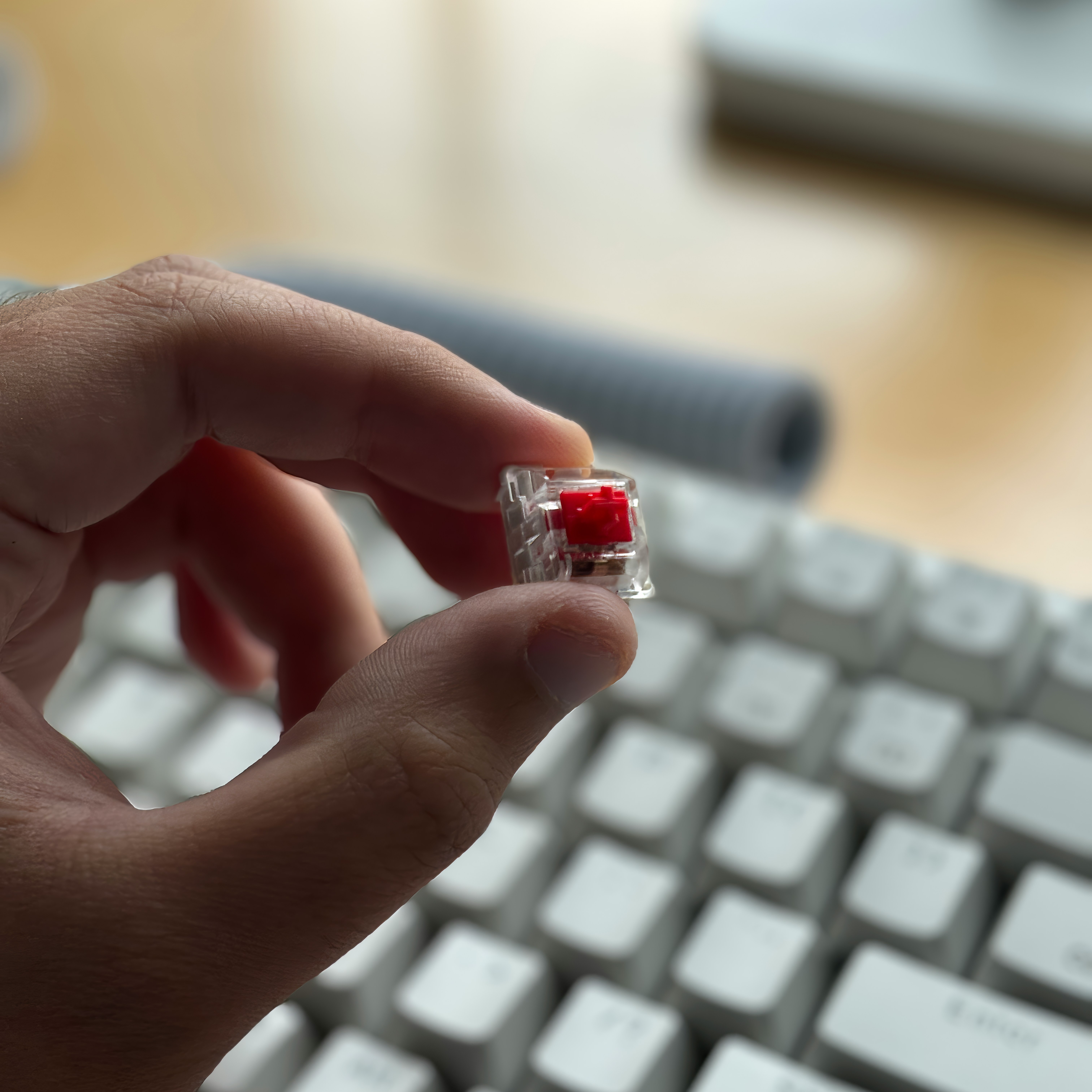Cara Memilih Switch Keyboard Biar Jari Kamu Ngga Lelah Saat Ngetik