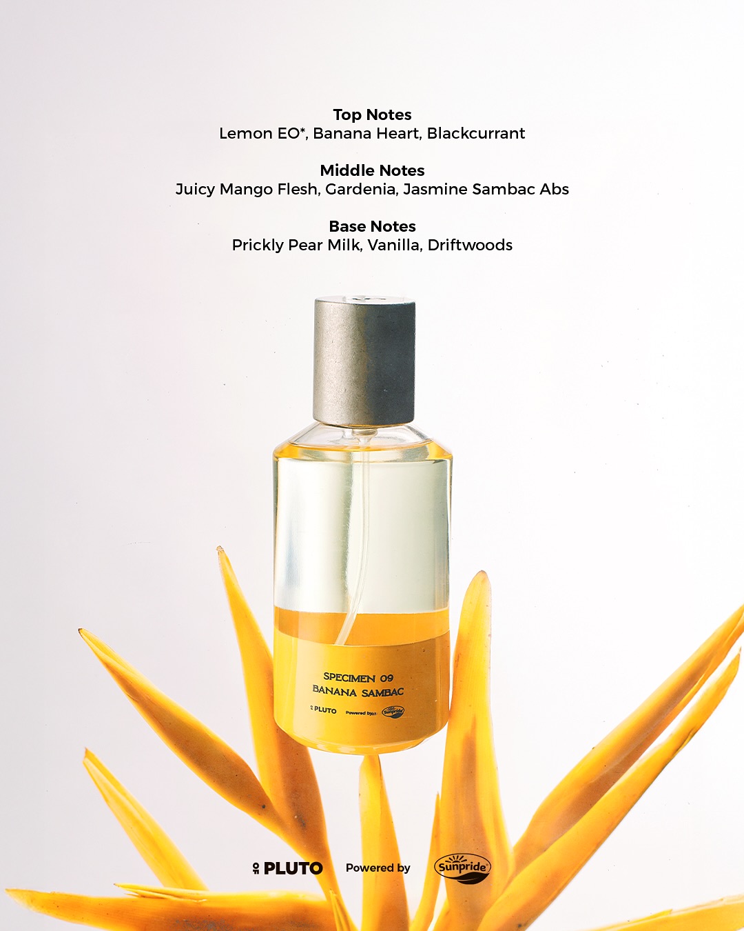 Sensasi Tropical Banana Sambac dari Scent of Pluto! Bocoran Aroma Awal Hingga Dry Down yang Unik