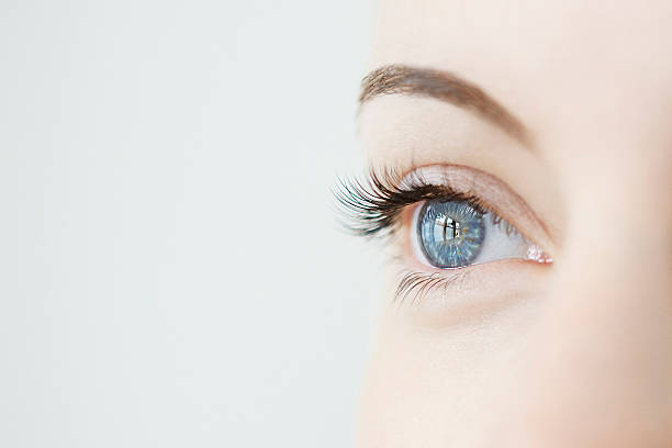Trend Pakai Individual Lashes, Rahasia Bulu Mata Tampil Mempesona