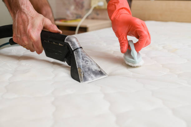 5 Kelebihan Vacuum Cleaner Wet Dry Untuk Membersihkan Karpet Tebal