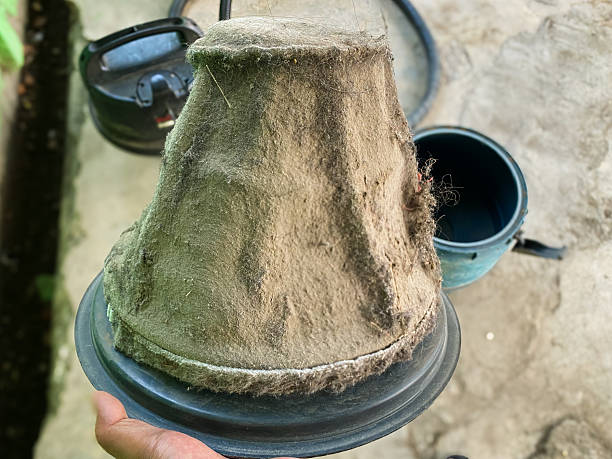 Kapan Waktu yang Tepat untuk Mengganti Filter Vacuum Cleaner?