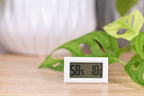 Stop Tertipu Angka Sekarang! Data High/Low Higrometer Digital Ungkap 'Rahasia' Udara di Kamar