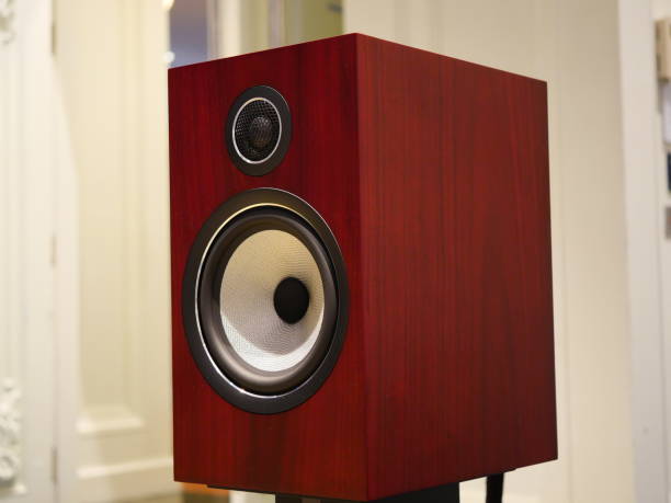 Mengapa Bass Speaker Bisa Berbeda-Beda? Ini Dia Penjelasannya!