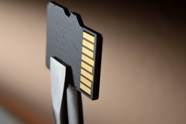 Mengenal Micro SD dan Fungsinya dalam Menyimpan Data Digital