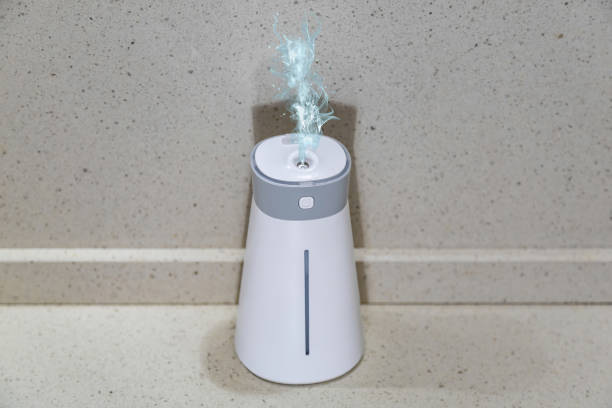 Humidifier Mini: Pelembap Udara yang Estetik dan Cocok untuk Dekorasi Meja Kerja Hingga Mobil