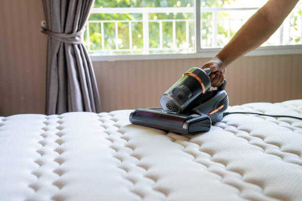 Vacuum Cleaner Bisa Membersihkan Apa Saja? Ini Fungsi dan Cara Pakainya