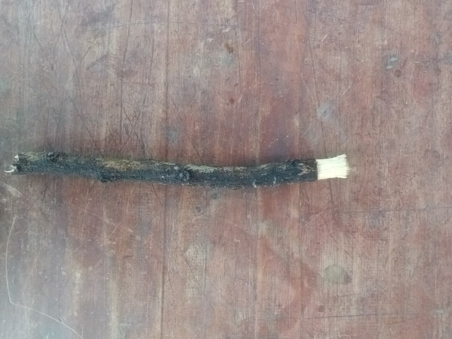 Sikat Gigi Ternyata Punya Sejarah dan Fakta Aneh, Nomor 2 Paling Gokil!