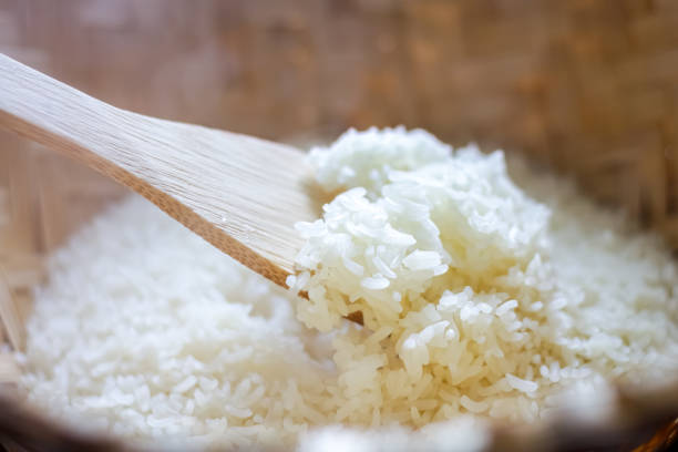 Jangan Panik! Ini Penyebab Nasi Cepat Bau di Rice Cooker dan Solusinya