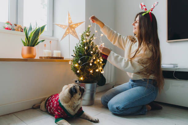 Pohon Natal Besar vs Kecil, Bagaimana Menentukan yang Pas?
