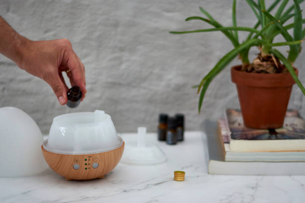 Cara Menggunakan Humidifier dengan Essential Oil, Sudah Tahu Belum?