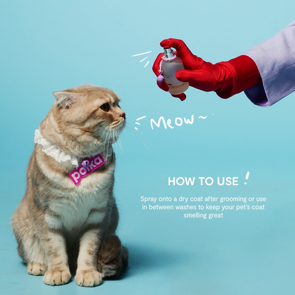Review Jujur Polka Pet Parfum, Wangi Mewah untuk Kucing Kesayangan Kamu!