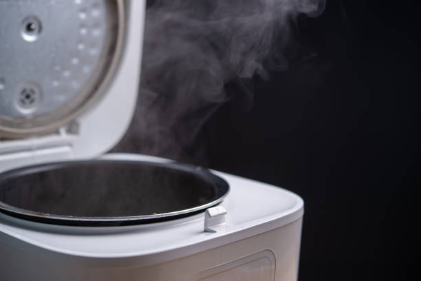 Cara Kerja Low Carbo Rice Cooker untuk Mengurangi Karbo pada Nasi