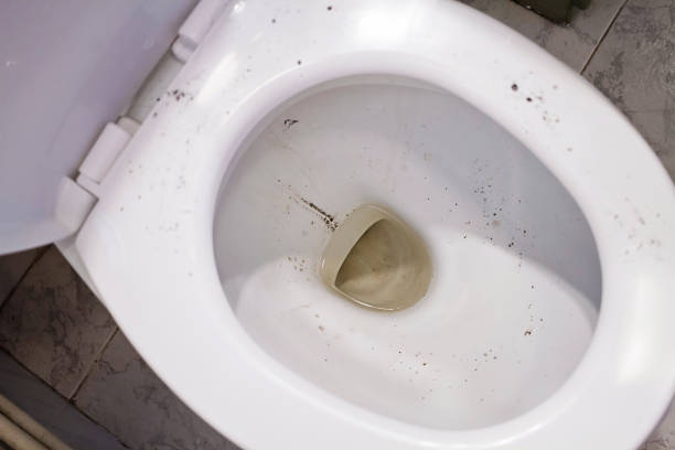 Jangan Anggap Sepele, Ini Dampak dari Toilet yang Kotor