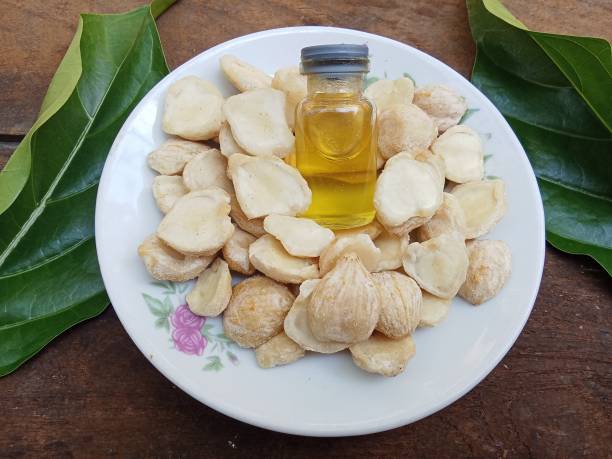 7 Alasan Kenapa Minyak Kemiri Cocok untuk Perawatan Rambutmu