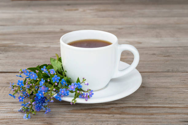 Teh Bunga Forget Me Not, Minuman Herbal untuk Tubuh Lebih Sehat