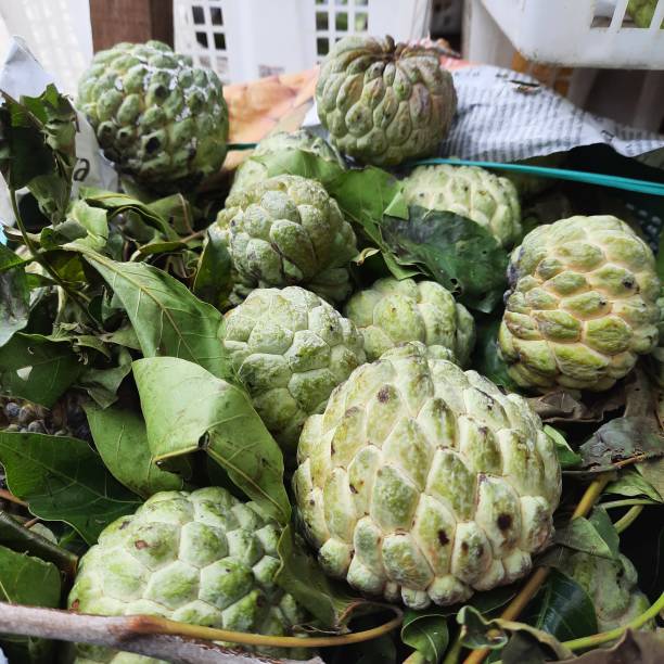 Masih Banyak yang Salah Sangka! Selai Srikaya dan Buah Srikaya Ternyata Beda Jauh
