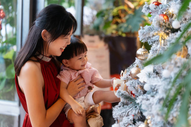 Memilih Pohon Natal Ideal untuk Rumah, Kenali Dulu Sisi Positif dan Negatifnya!