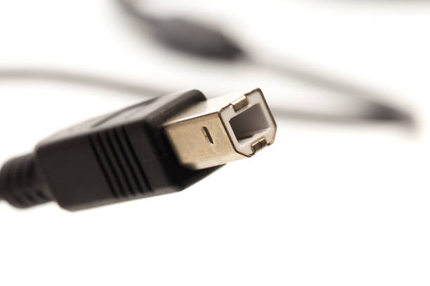 Tips Memilih Kabel USB Printer 2.0 AM to BM yang Tepat untuk Printer dan Scanner