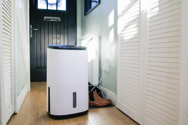 5 Fungsi Dehumidifier di Rumah, Bikin Ruangan Antilembap Tanpa Bau Apek